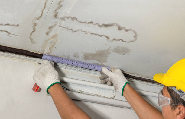 24/7 Emergency Water Damage Repair experts in Lennon, MI