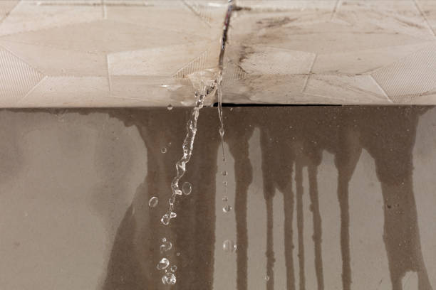 Professional Water Damage Repair technician working in Lennon, MI